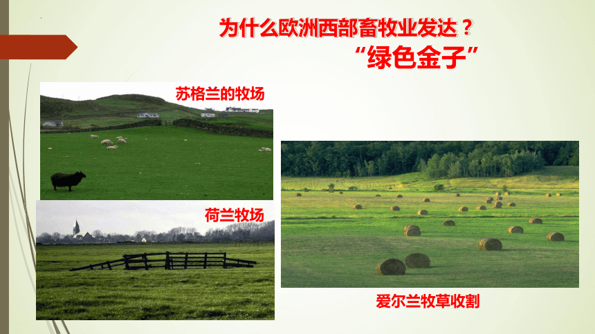 8.2 欧洲西部 第二课时 课件（共35张PPT）2023-2024学年七年级地理下学期人教版