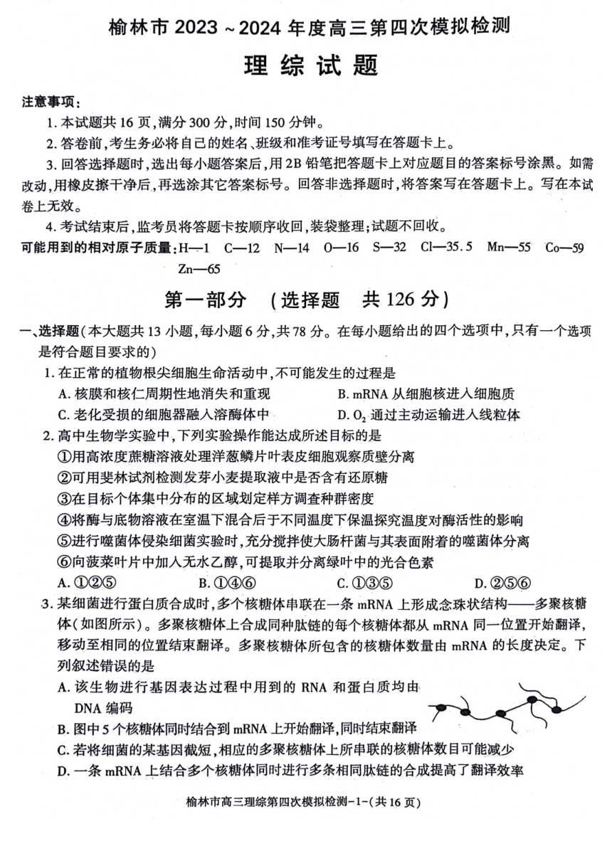 陕西省榆林市2024届高三下学期5月第四次模拟检测试题 理综 （PDF版含答案）