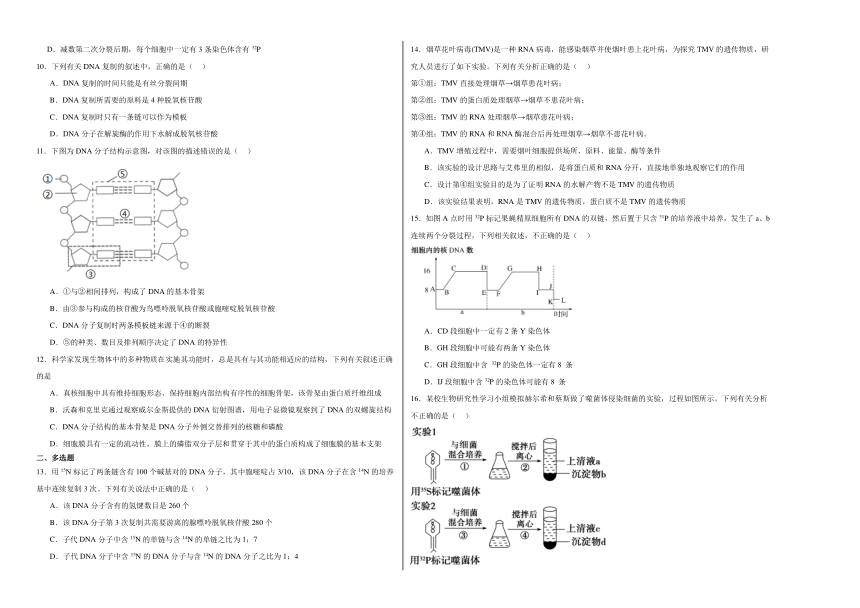 第3章 基因的本质 单元测试（含解析）-2023-2024学年高一下学期生物人教版必修2