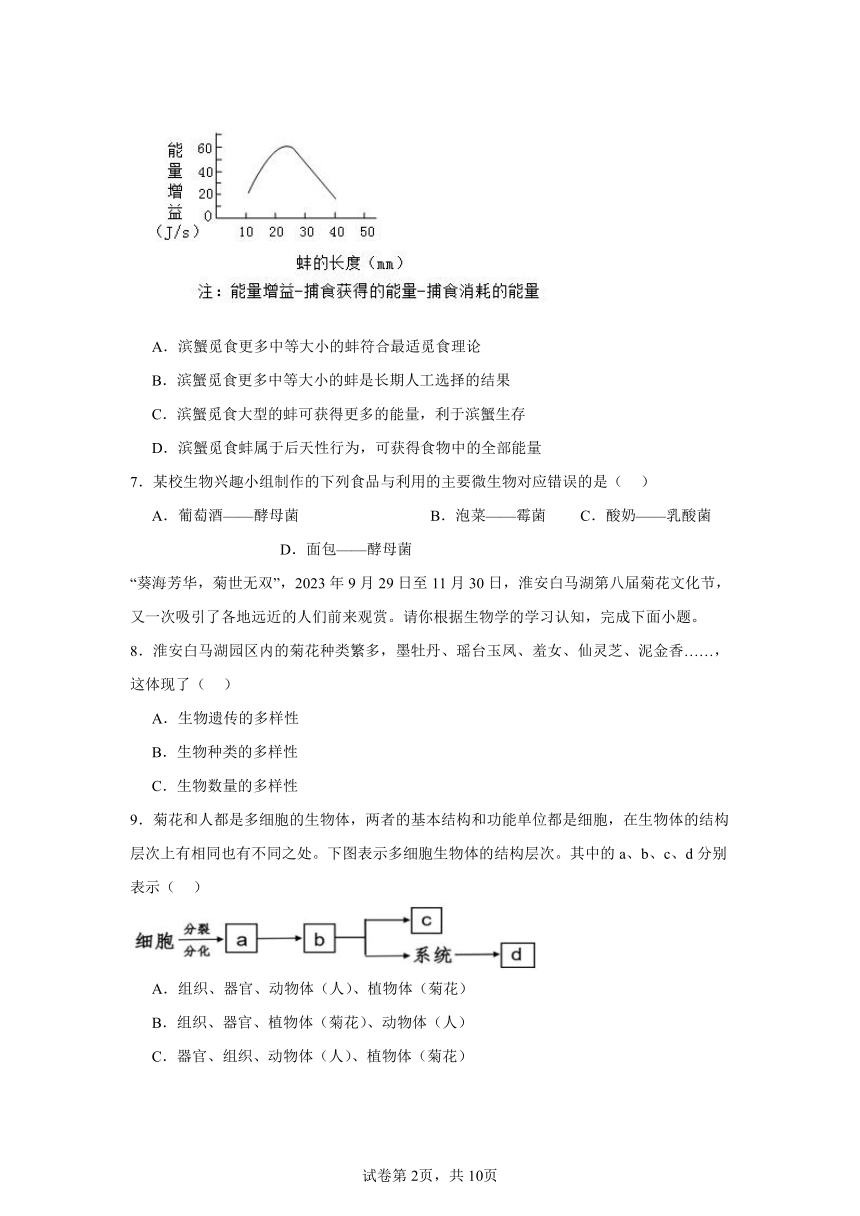 人教版中考一轮复习---八上（一）（含解析）