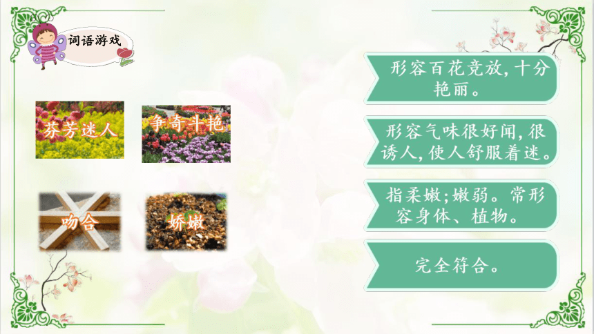 13《 花钟》 课件(共49张PPT)