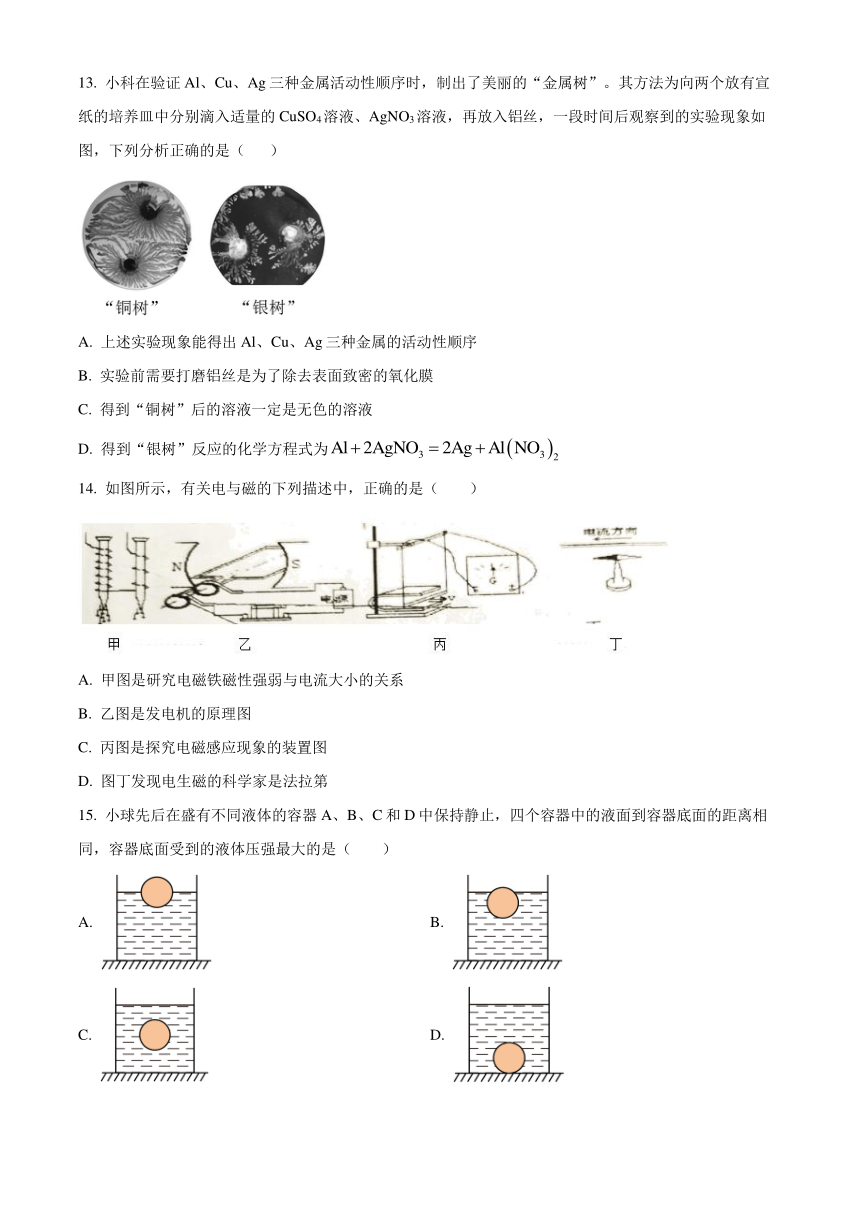 浙江省杭州市杭州中学2023-2024学年九年级下学期期中科学试题（无答案）