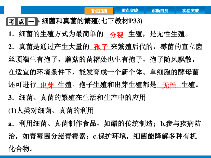 2024浙江省中考科学复习第9讲　细菌、真菌的繁殖　植物的生殖和发育（课件 39张PPT）