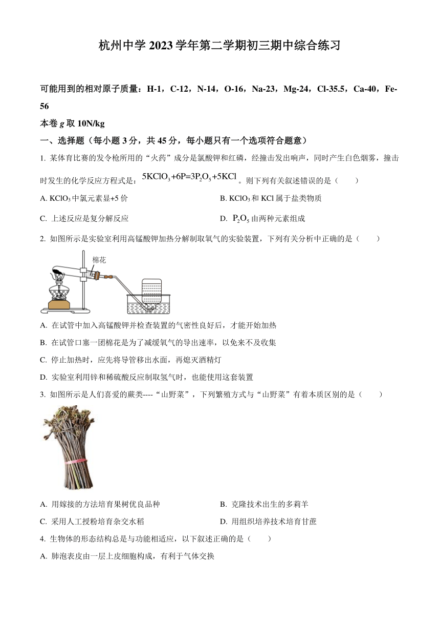 浙江省杭州市杭州中学2023-2024学年九年级下学期期中科学试题（无答案）