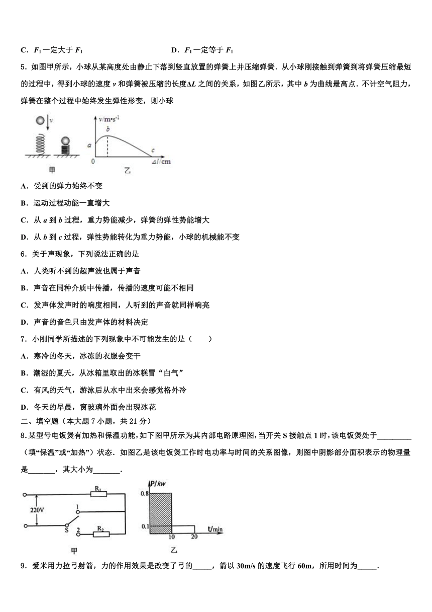 2024年江苏省扬州市江都区中考物理适应性模拟试题（含答案）