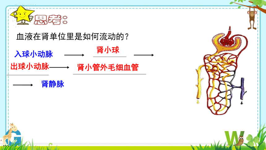 第四单元第五章 人体内废物的排出 课件(共27张PPT＋内嵌视频1个)人教版七年级下册生物