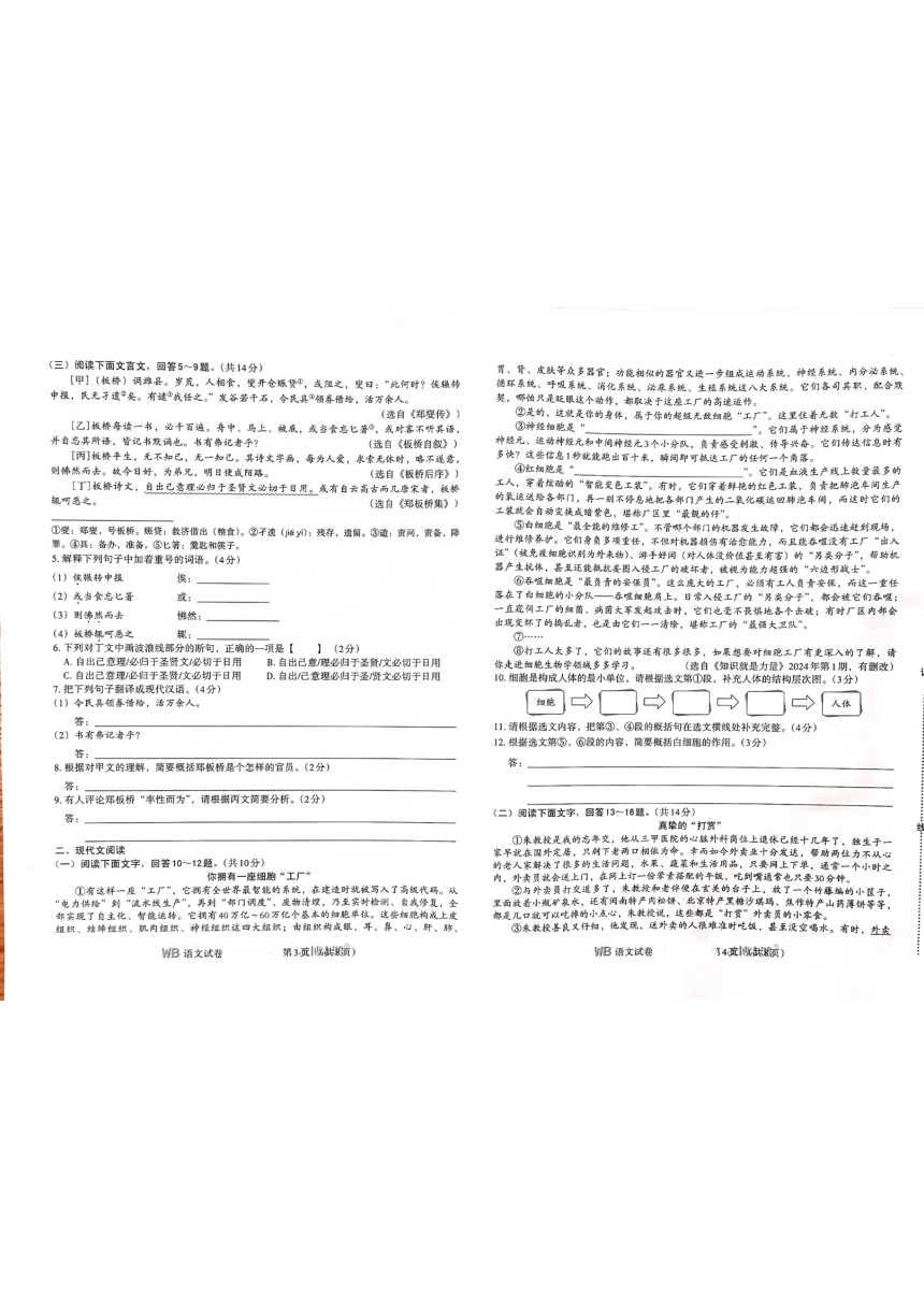 河北省邯郸市馆陶县芦里中学、魏征中学2023-2024学年九年级下学期5月期中语文试题（图片版，含答案）