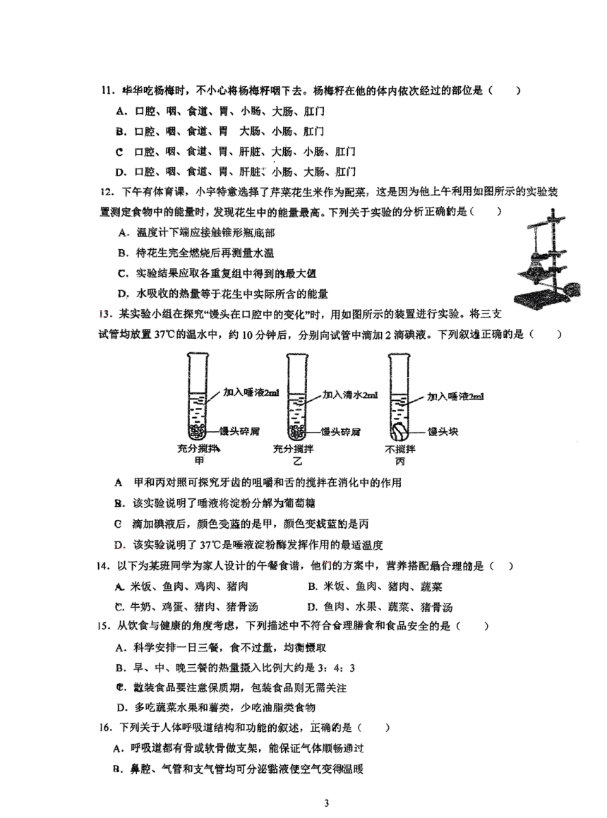 广东省江门市蓬江区省实学校2023-2024学年七年级下学期期中考试生物试卷（pdf版无答案）