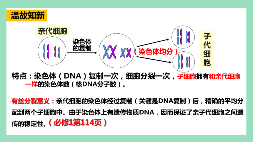 2.1 减数分裂和受精作用（第1课时） 课件(共52张PPT) 2023-2024学年高一生物人教版（2019）必修2