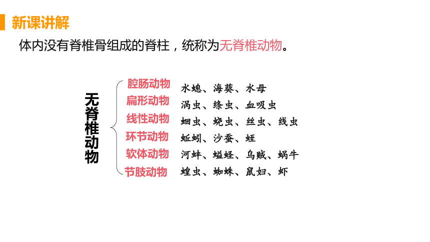 人教版生物八年级上册5.1.4鱼课件（40张PPT)