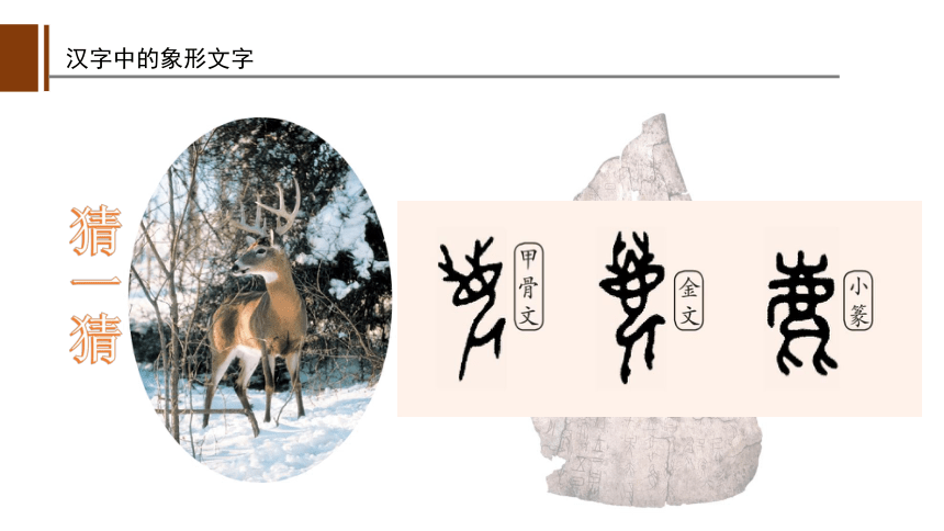 一年级下册美术课件-第20课汉字中的象形文字 人教版 (共31张PPT)