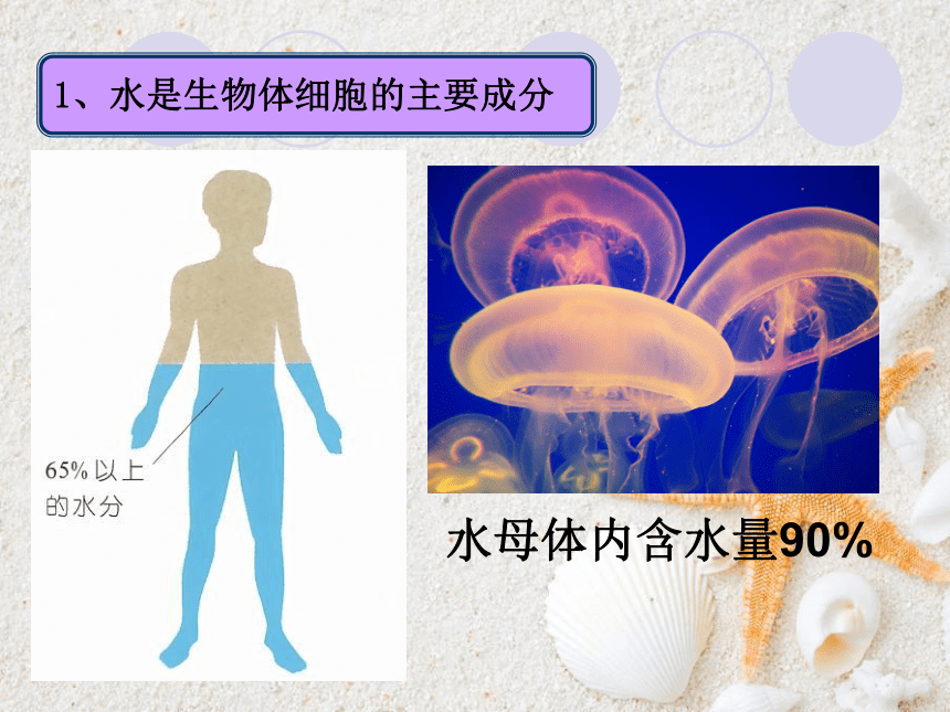 北师大版八年级生物下册 8.23.1 生物的生存依赖一定的环境课件(共37张PPT)