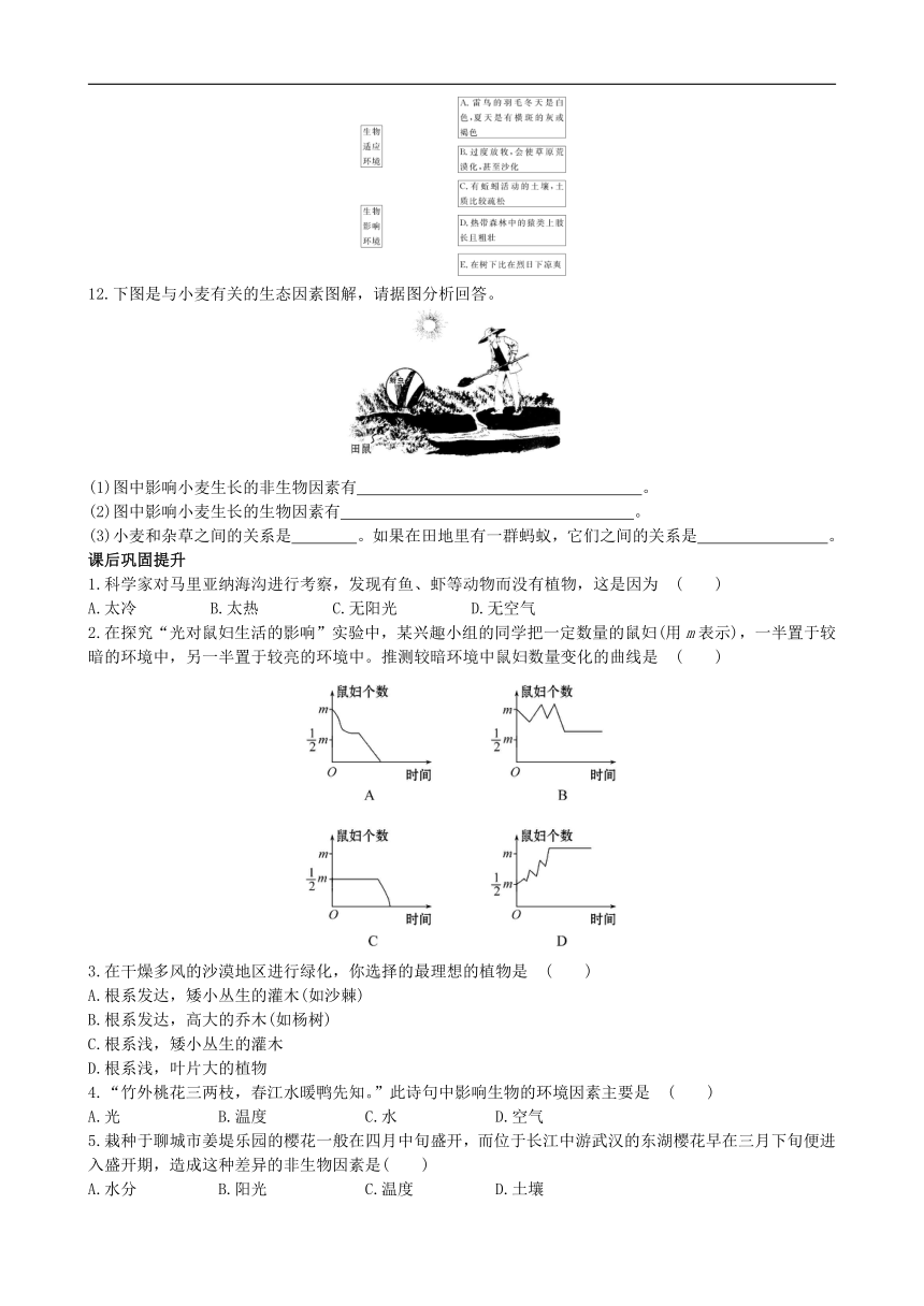 生物北师大版八下第23章第1节 《生物的生存依赖一定的环境》同步测试(word版含解析)