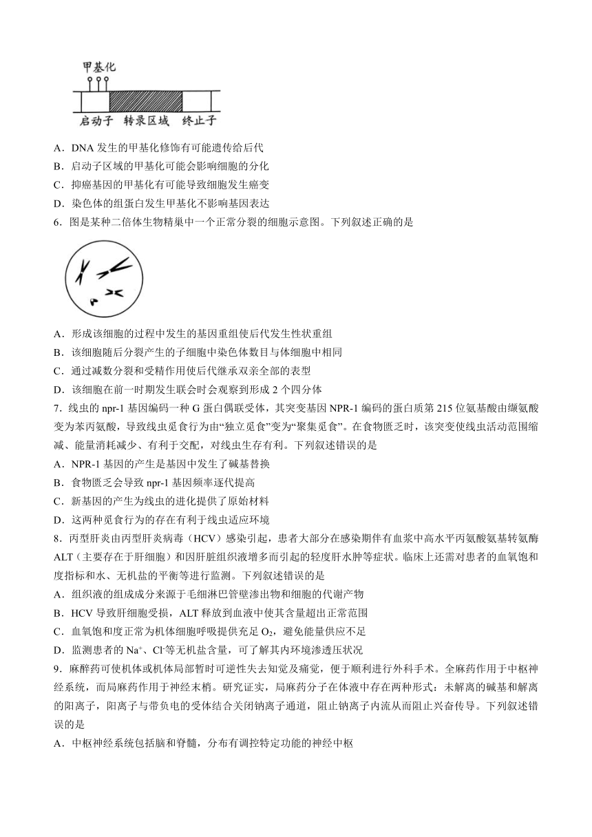 贵州省贵阳市2024届高三下学期5月二模试题 生物（含答案）