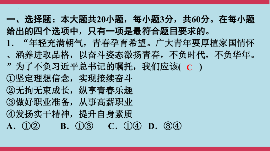 2024年中考道德与法治大课标专题突破九练模拟试题课件（33张PPT）（二）