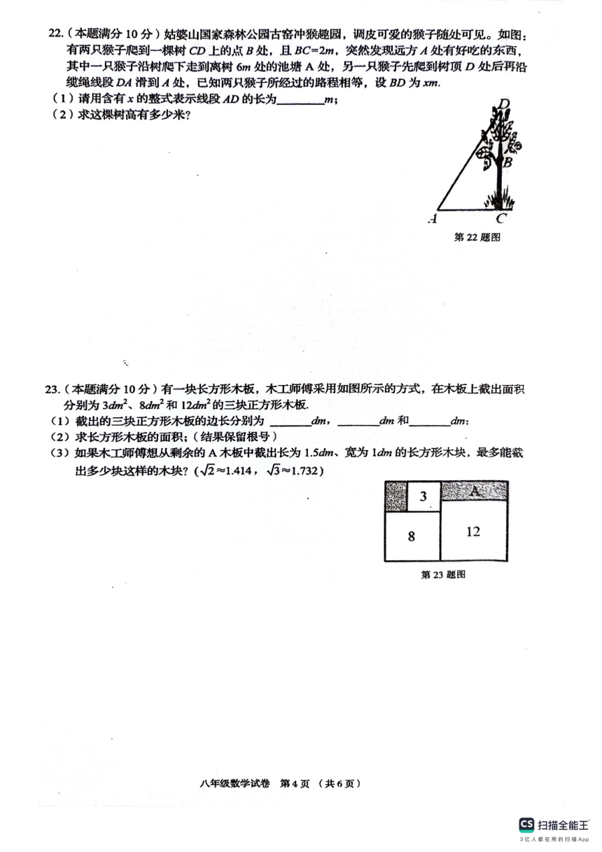 广西壮族自治区贺州市昭平县2023-2024学年八年级下学期4月期中考试数学试题（PDF含答案）