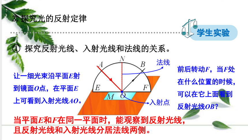 北师大版数学八年级上册5.2 光的反射 课件（23张ppt)