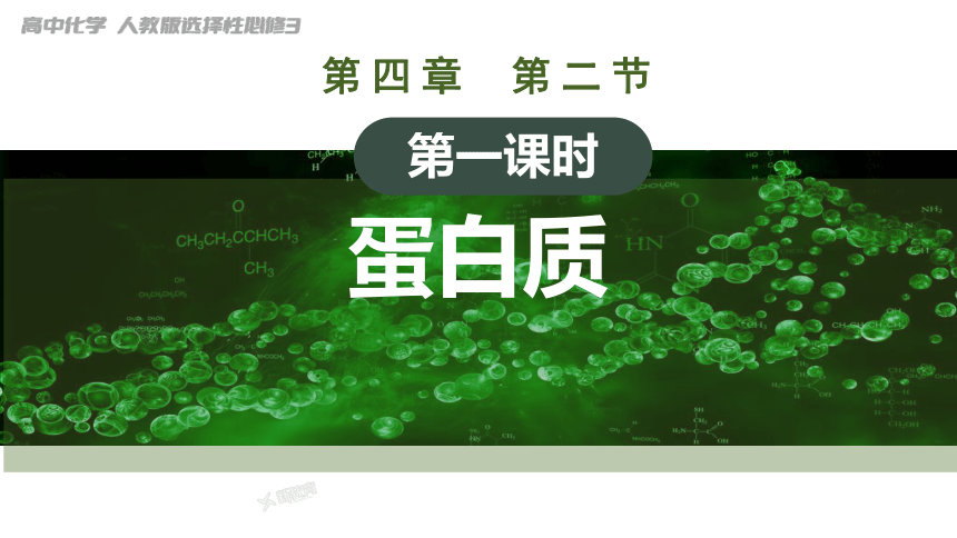 4.2.1 蛋白质 课件 2023-2024学年高二下学期化学人教版（2019）选择性必修3（共31张ppt）