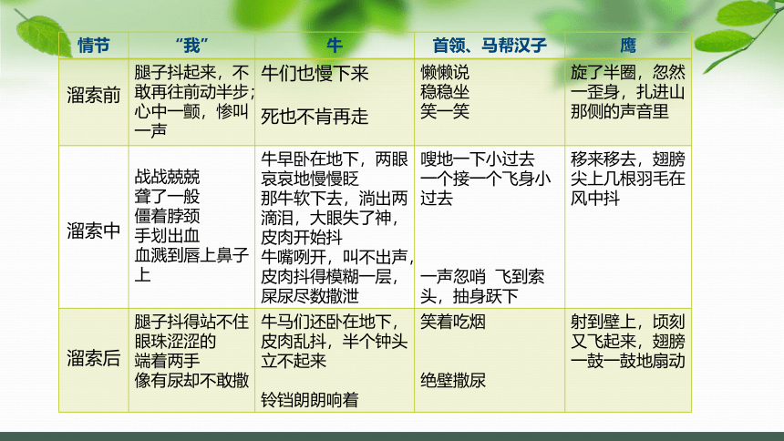 7. 溜索 课件(共22张PPT)