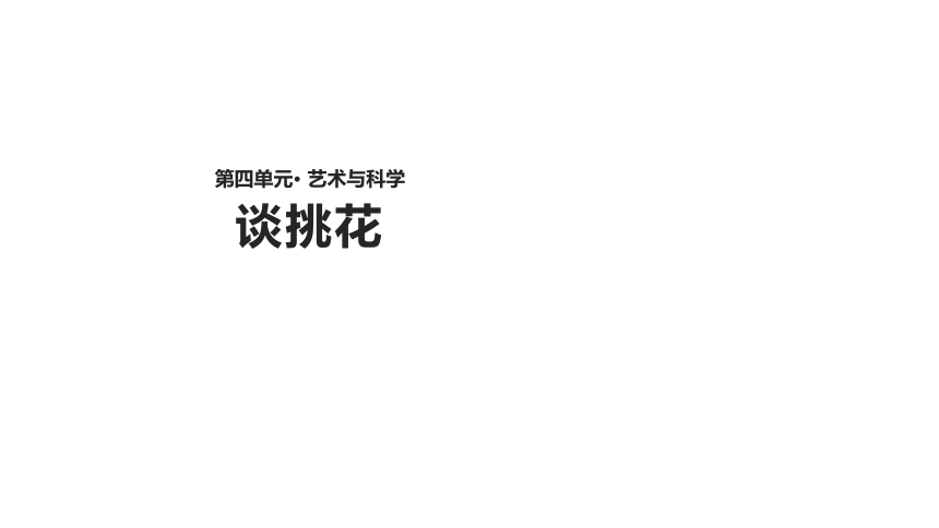 14 谈挑花 课件（10张PPT）