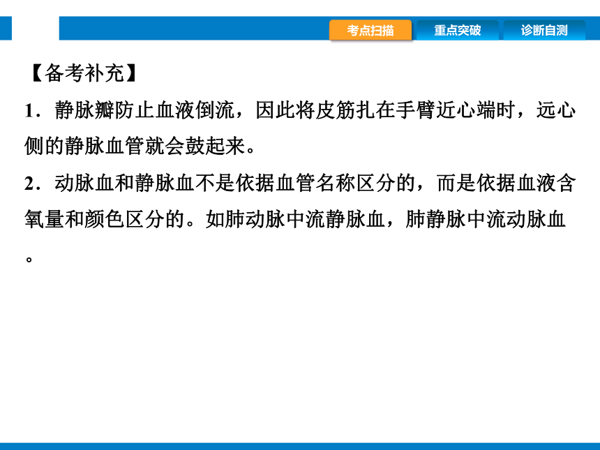 2024浙江省中考科学复习第7讲　动物的新陈代谢（2）（课件 44张PPT）