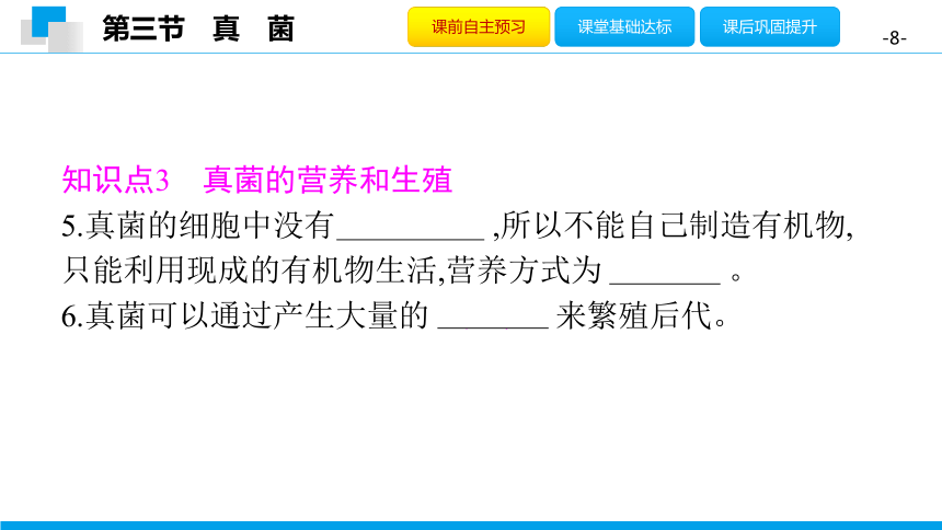 5.4.3 真　菌-2020年秋人教版八年级上册生物课件(共28张PPT)