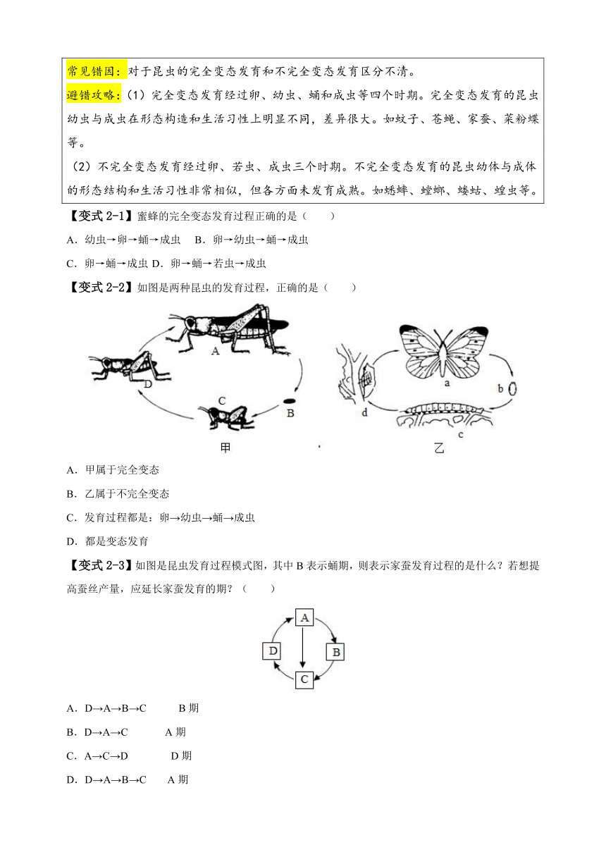 易错点10 生物的生殖和发育-备战2024年中考生物易错题（含解析）