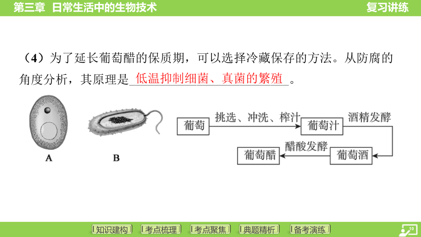 第一篇 第五单元 第三章 日常生活中的生物技术  课件 (共32张PPT)2024中考生物总复习专题突破(冀少版)