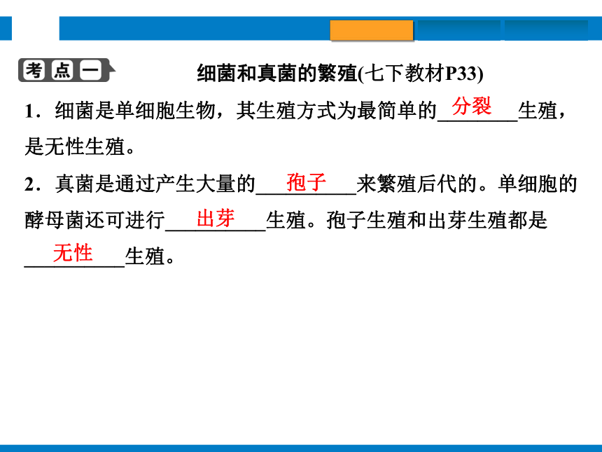 2024浙江省中考科学总复习第4讲　植物的生殖和发育　细菌、真菌的繁殖（课件 32张PPT）