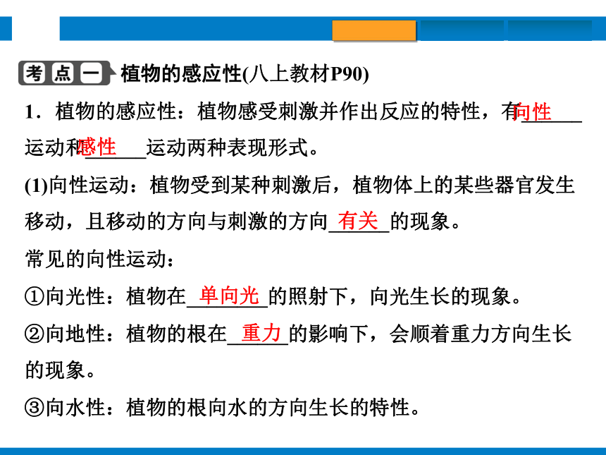 2024浙江省中考科学复习第8讲　生命活动的调节（课件 39张PPT）