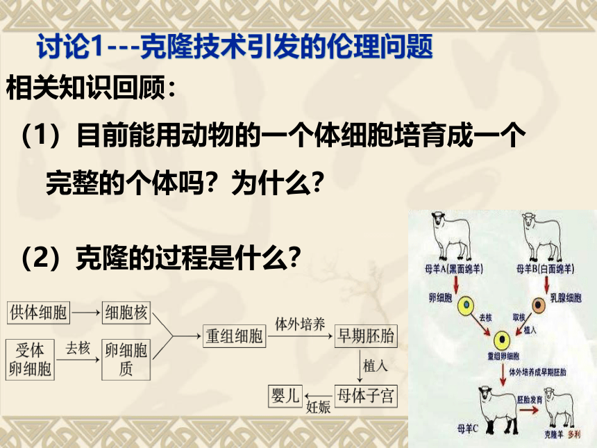 人教版高二生物选修三课件：4．2关注生物技术的伦理问题（共32张PPT）