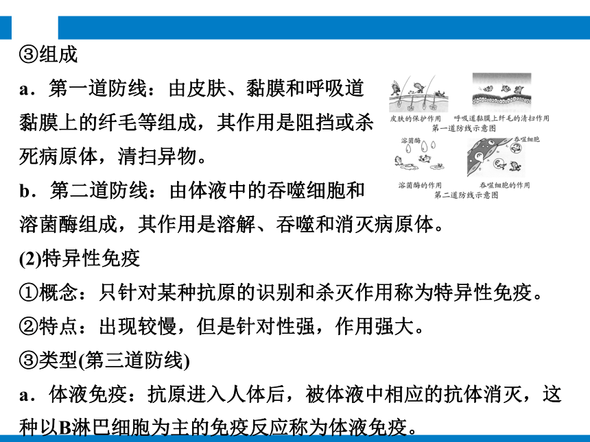 2024浙江省中考科学复习第12讲　人、健康与环境（课件 39张PPT）