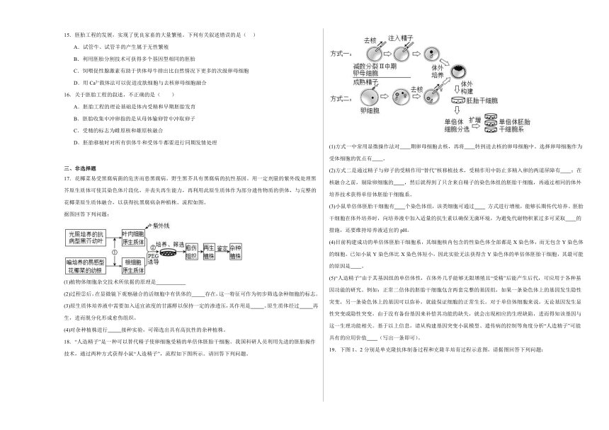 第2章 细胞工程 单元测试-(含解析）2023-2024学年高二下学期生物人教版选择性必修3