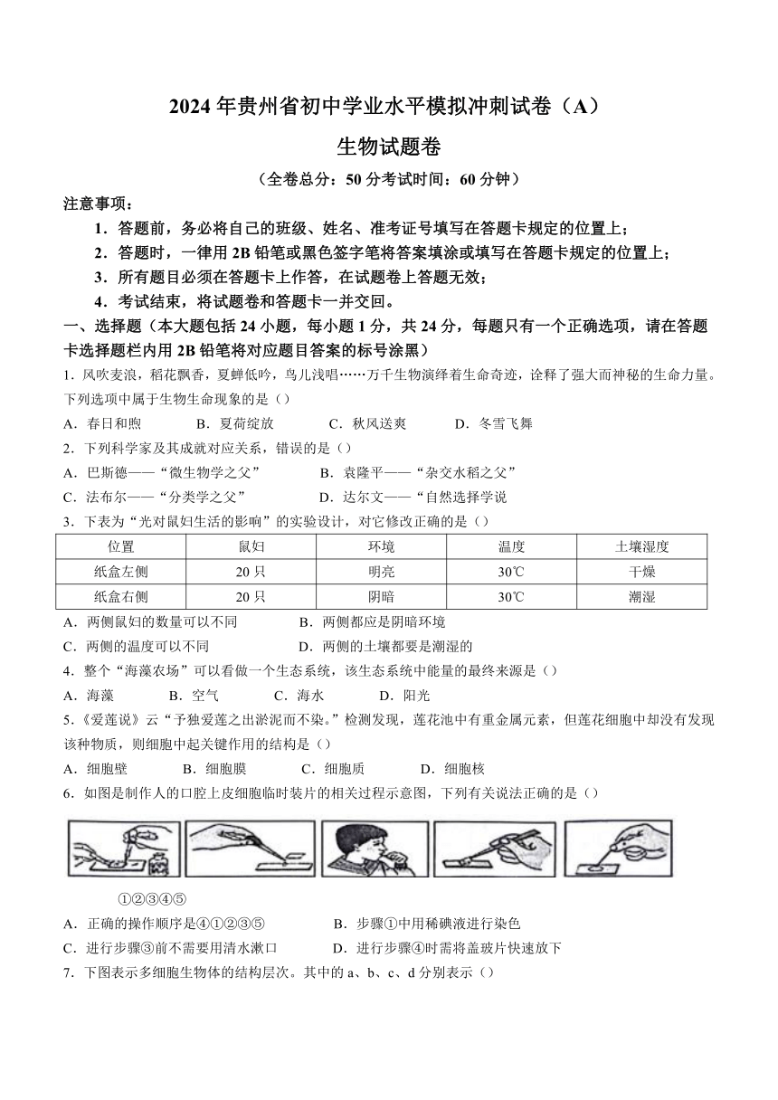贵州省遵义市2023-2024学年八年级下学期5月期中生物试题（含答案）