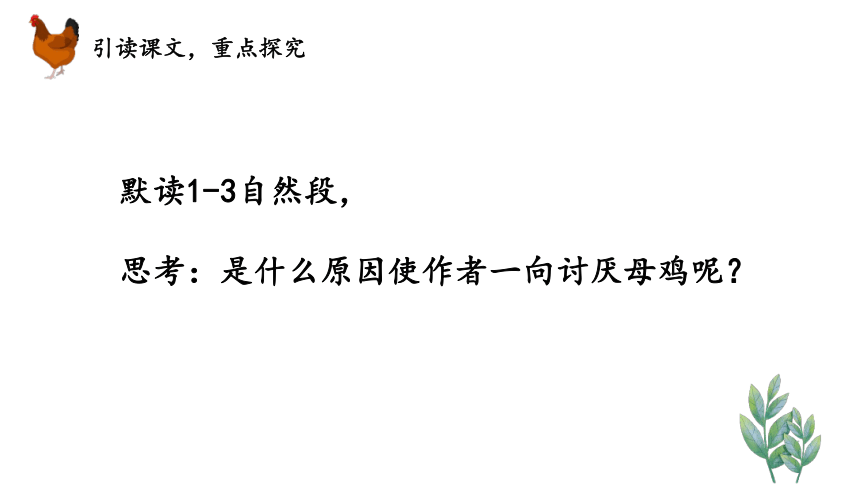 14.母鸡 课件（30张）