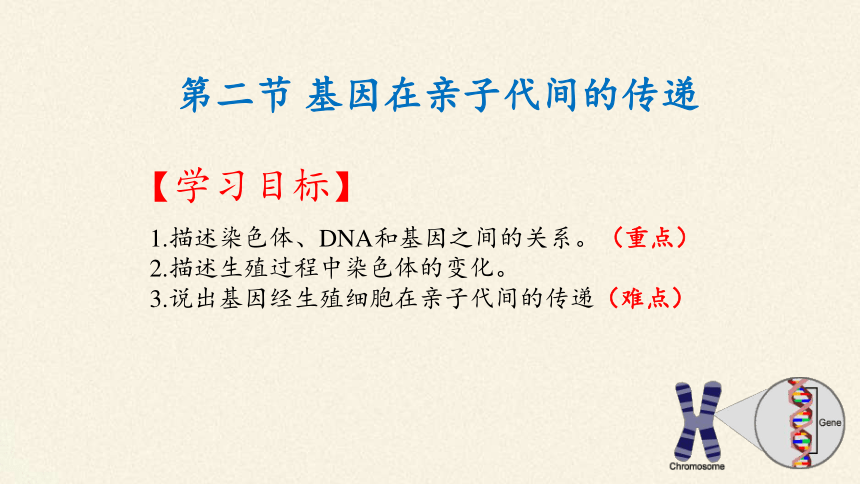 7.2.2 基因在亲子代间的传递课件(共27张PPT)人教版八年级下册