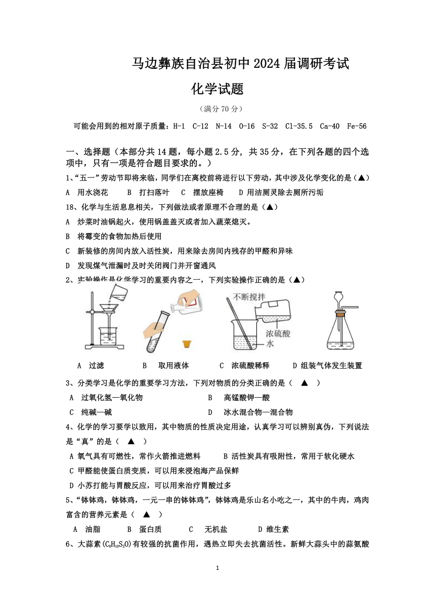 2024年四川省乐山市马边县中考适应性考试化学试题（无答案）