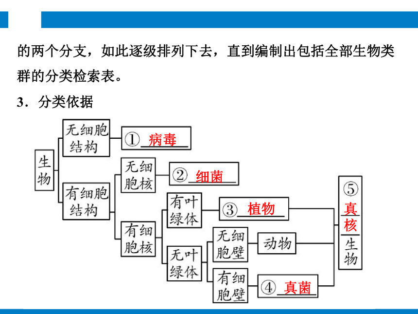 2024浙江省中考科学复习 第1讲　生物的分类（课件 54张PPT）