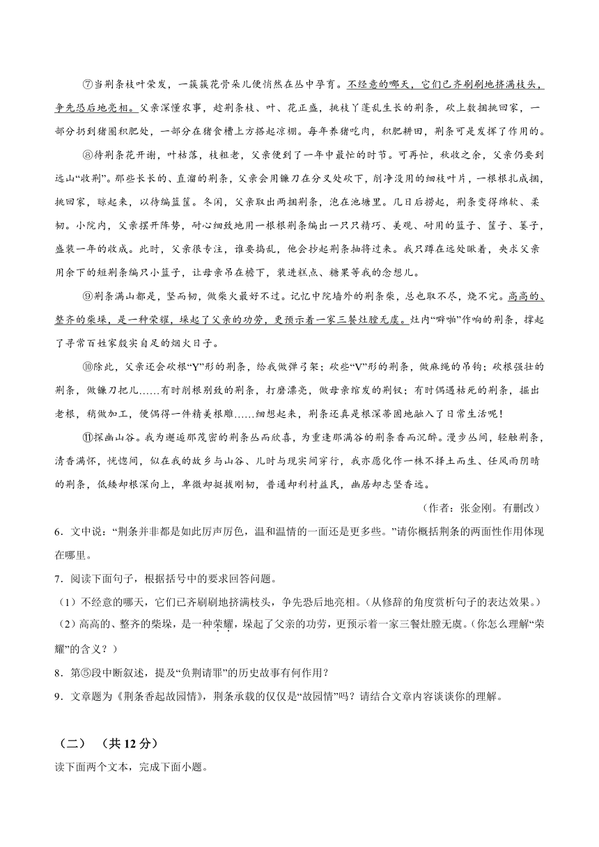 2024年河南省驻马店市第二初级中学中考二模语文试题（含解析）