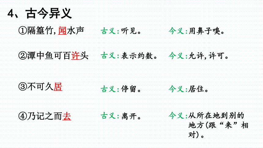 2024年中考语文复习专题《小石潭记》复习 课件(共32张PPT)