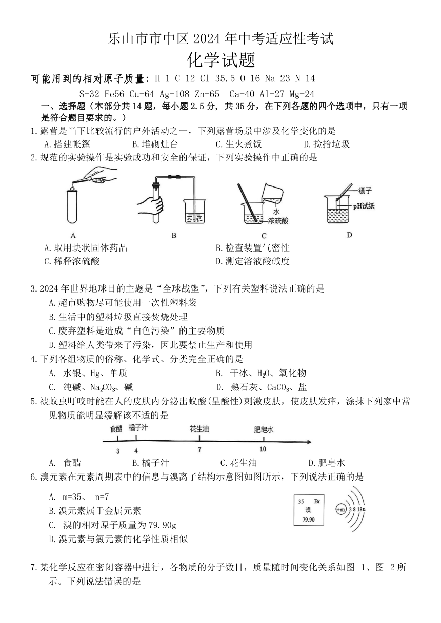 乐山市市中区初中2024届调研考试化学试题（含答案）