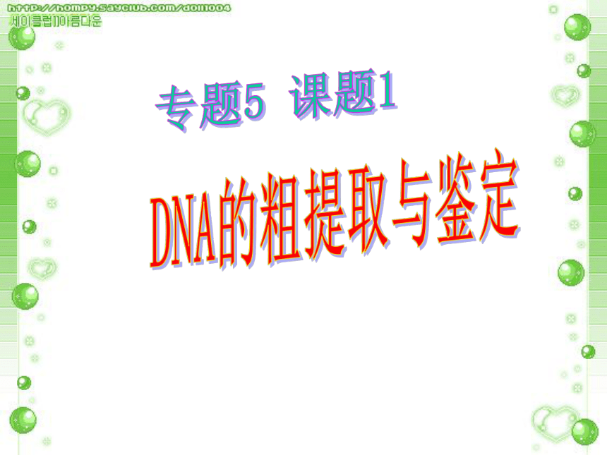人教版生物选修1高中5.1：DNA的粗提取与鉴定(共38张PPT)