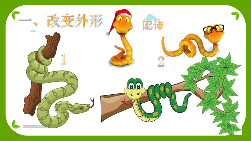 二年级上册美术课件-2.6 可爱的玩具蛇丨岭南版 (共21张PPT)