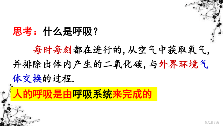 4.3 第一节 呼吸道对空气的处理 课件（33张ppt)