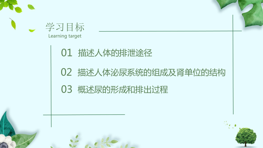 第四单元第五章 人体内废物的排出 课件(共27张PPT＋内嵌视频1个)人教版七年级下册生物