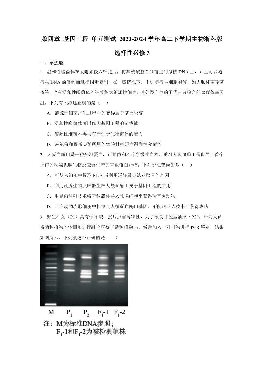 第四章 基因工程 单元测试 2023-2024学年高二下学期生物浙科版选择性必修3（含解析）