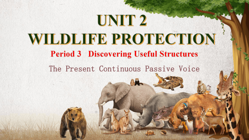 人教版（2019）高中英语必修第二册Unit 2 Wildlife protection Discovering Useful Structures课件(共23张PPT，内嵌视频)