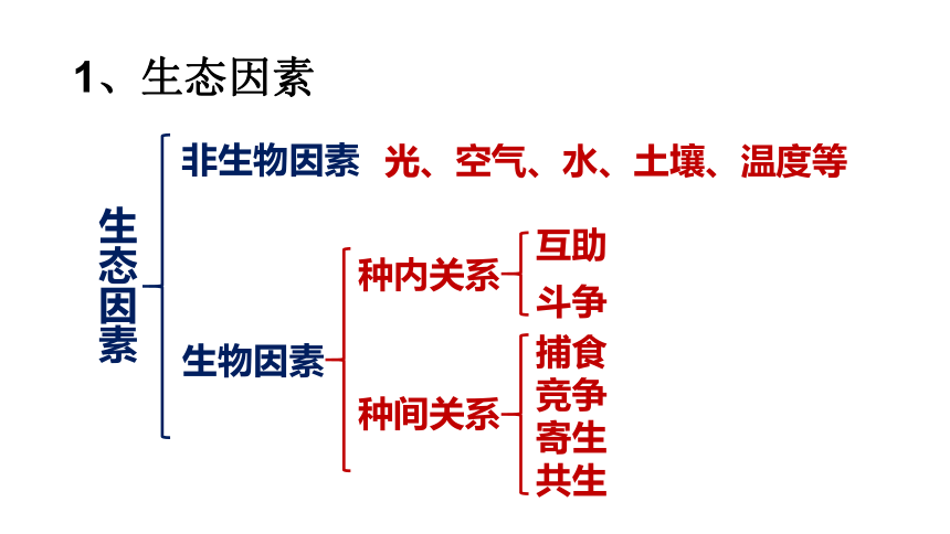 第六单元生物与环境第一二三章复习-课件(共18张PPT)