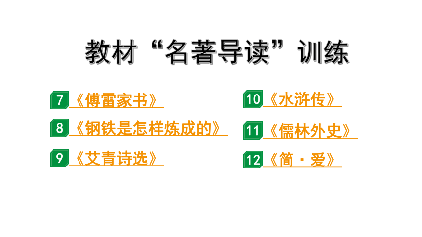 2024年宁夏中考语文二轮复习 教材“名著导读”训练（七~十二）课件(共67张PPT)
