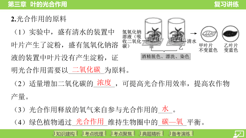 第一篇 第三单元 第三章 叶的光合作用  课件(共38张PPT) 2024中考生物总复习专题突破(冀少版)